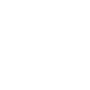 videoBtn